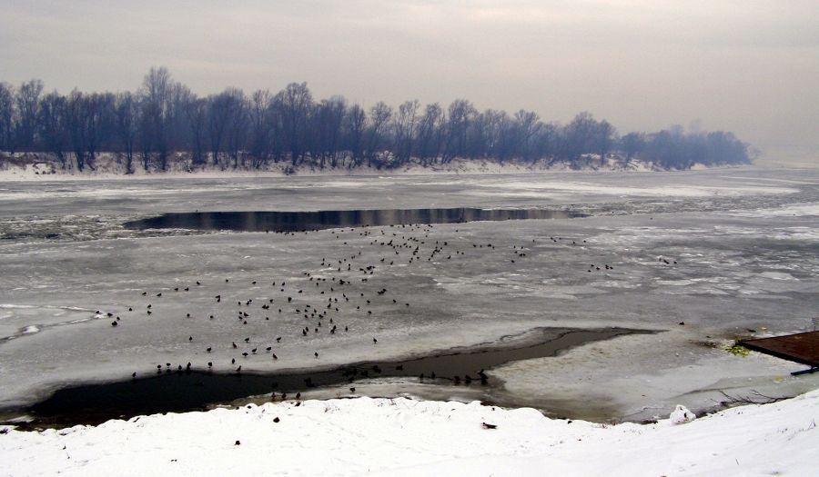 Zale�ena Sava 2012